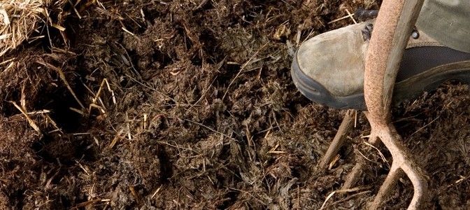 FeaturedImage-Mulch-672x300