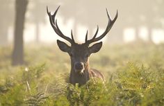 541e4e2f7913db2e3a538649ee9f3e70