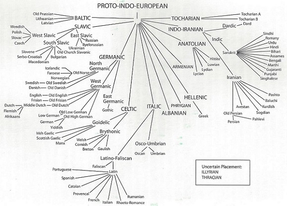 Indo-European-lang-tree-001_cropped_580